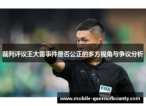 裁判评议王大雷事件是否公正的多方视角与争议分析