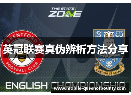 英冠联赛真伪辨析方法分享