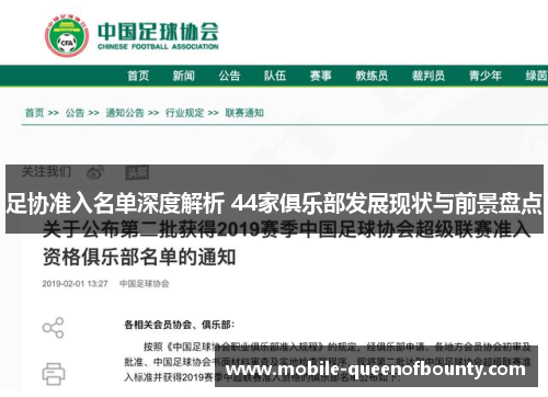 足协准入名单深度解析 44家俱乐部发展现状与前景盘点
