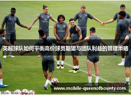 英超球队如何平衡高价球员期望与团队利益的管理策略